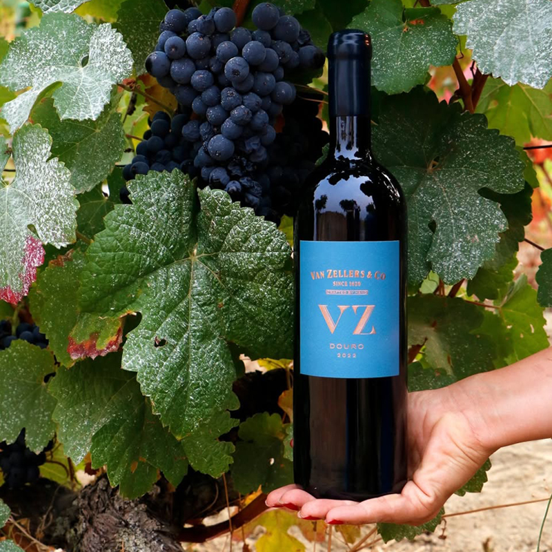 Palatial | Van Zellers